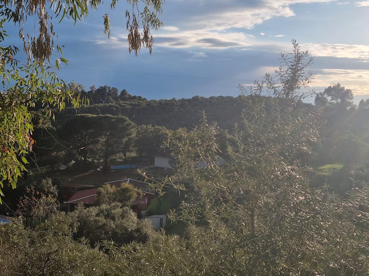 Casa Rural El Mirador De Nati - Constantina