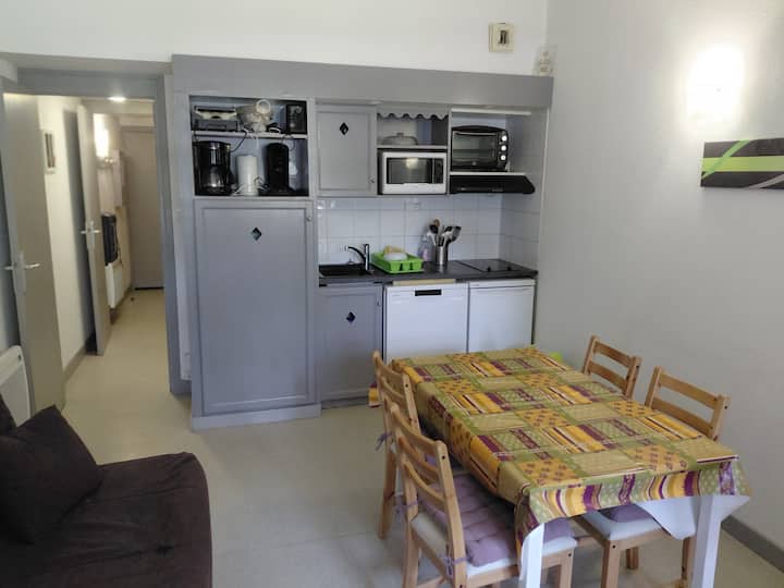 Appartement 4 Personne, Face Télécabine Et Thermes - Saint-Lary-Soulan