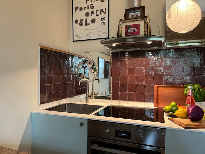 Compact Living På Idylliske Vålerenga - 奧斯陸