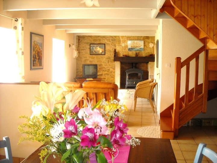 Gîte Les Hortensias - Plozévet