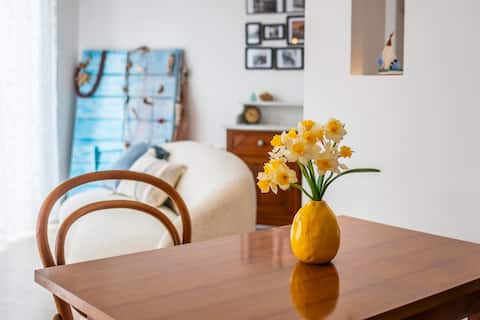 Top performing Airbnb: TRIKA Mare in Rovinj