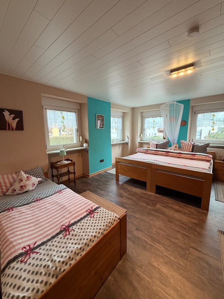 Große Familien-ferienwohnung Nahe Europapark - Schwanau
