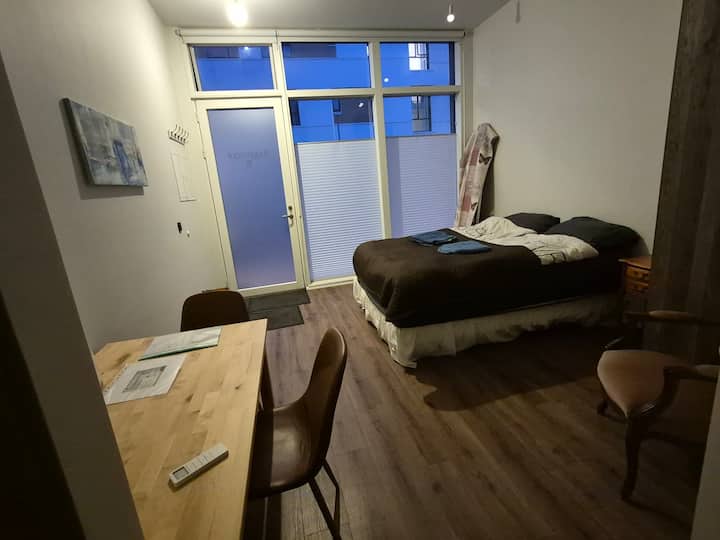 25 M² Studio - Reykjavik