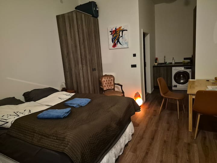 25 M² Studio - Reikiavik