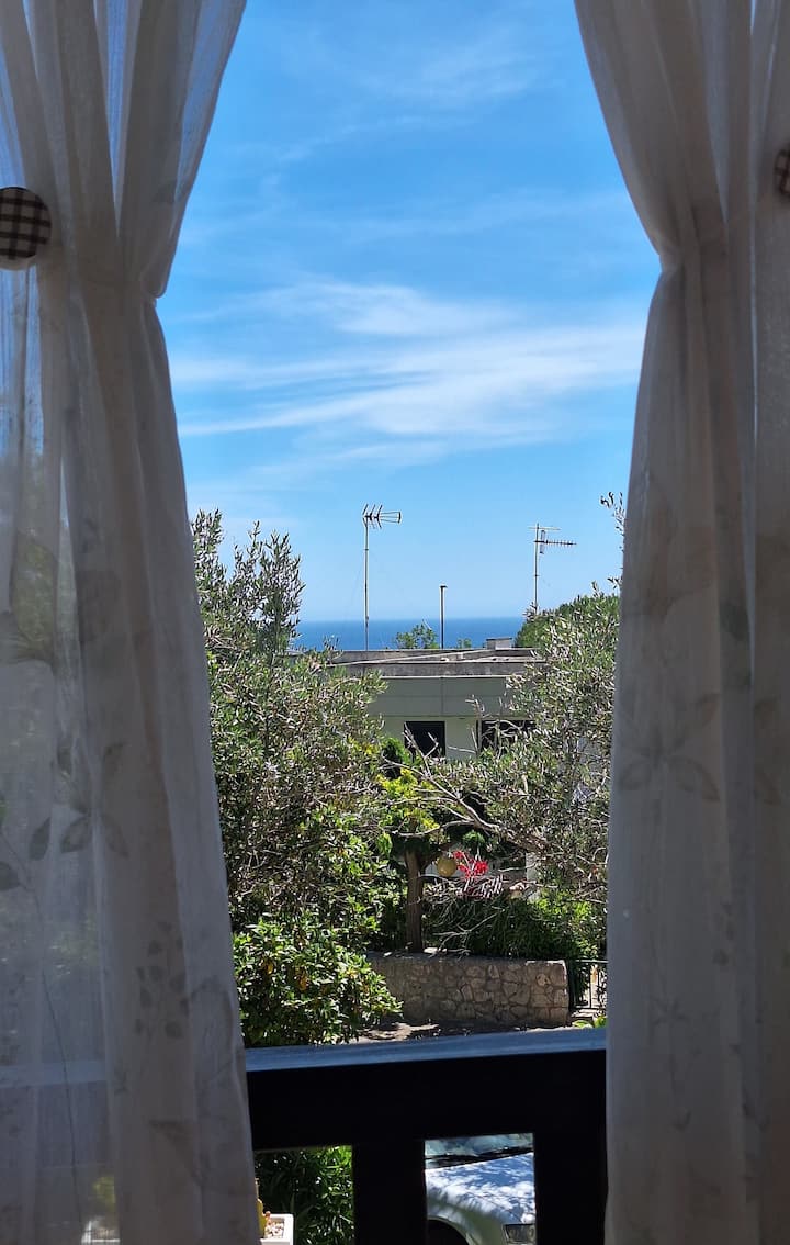 Residence Degli Oleandri - Terra - Santa Cesarea Terme