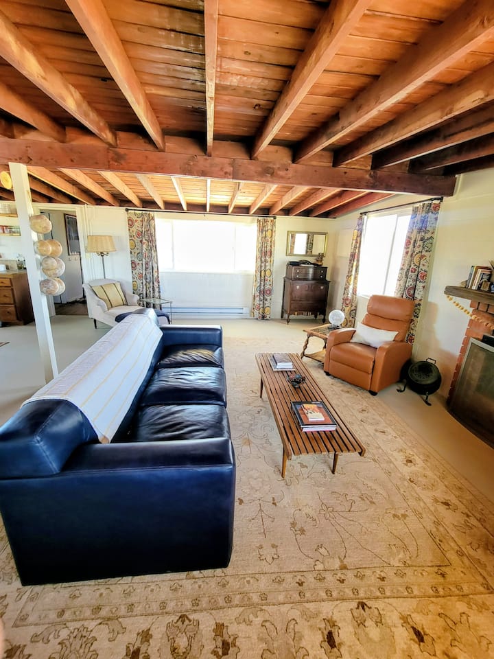 Concrete floors, vintage, extra-large, hand-woven area rugs, leather, pull out sofa bed. Large open area connected to kitchen and dining areas.