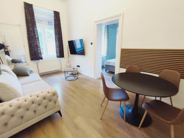 Apartment Downtown Zagreb - Zagreb