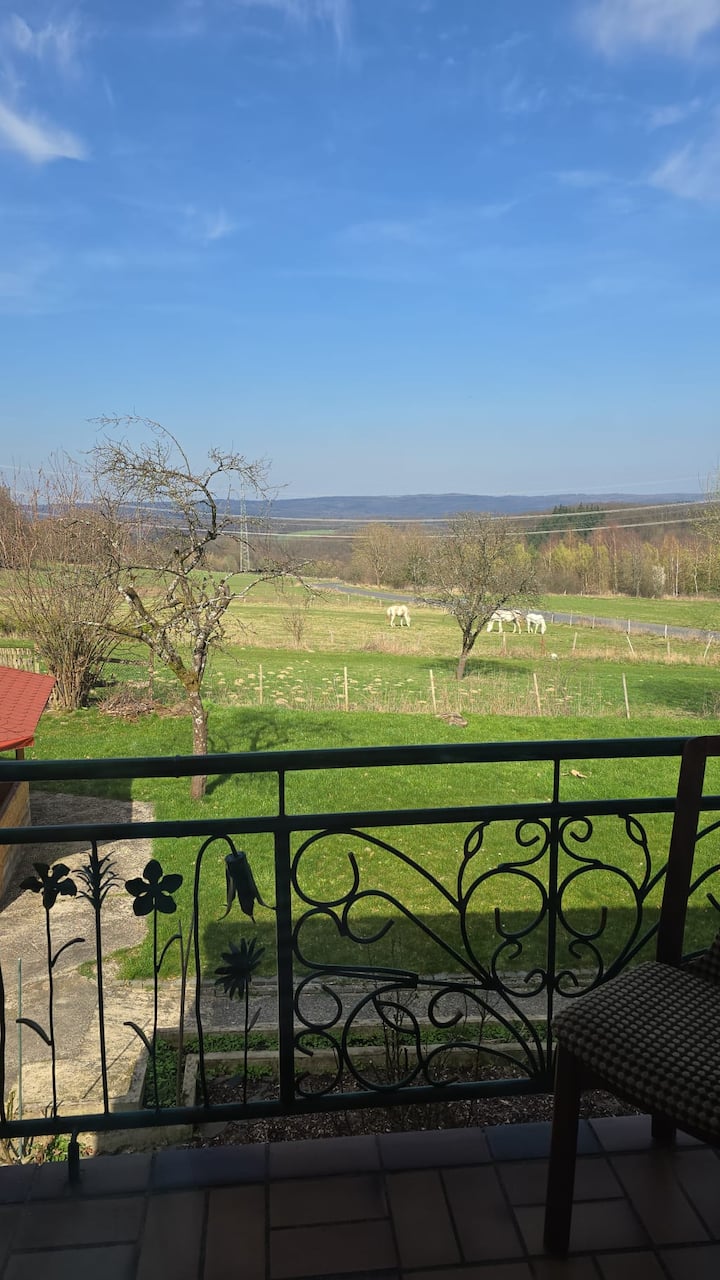 3 Zimmer Ferien- & Monteurwohnung - Eitorf
