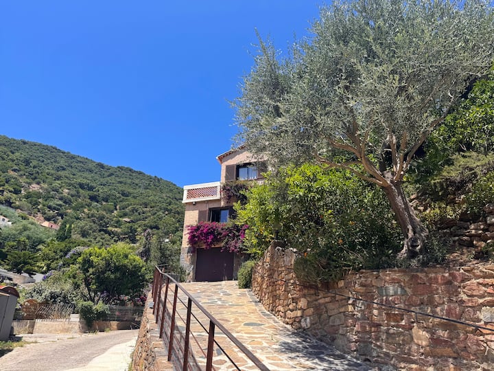 Grand T4 Climatisé Avec Terrasse Et Parking - Hyères