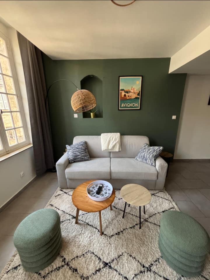 T2 De Charme Dans Le Centre Historique Davignon - Avignon