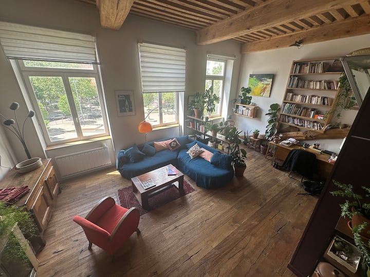 Magnifique Appartement Canut, Croix Rousse - Lyon