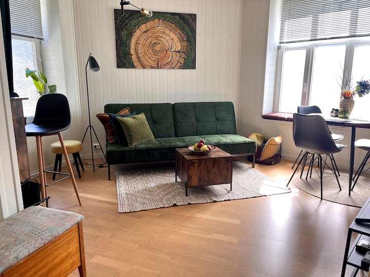 Downtown Cosy Appartement Close To Attractions - Ålesunds