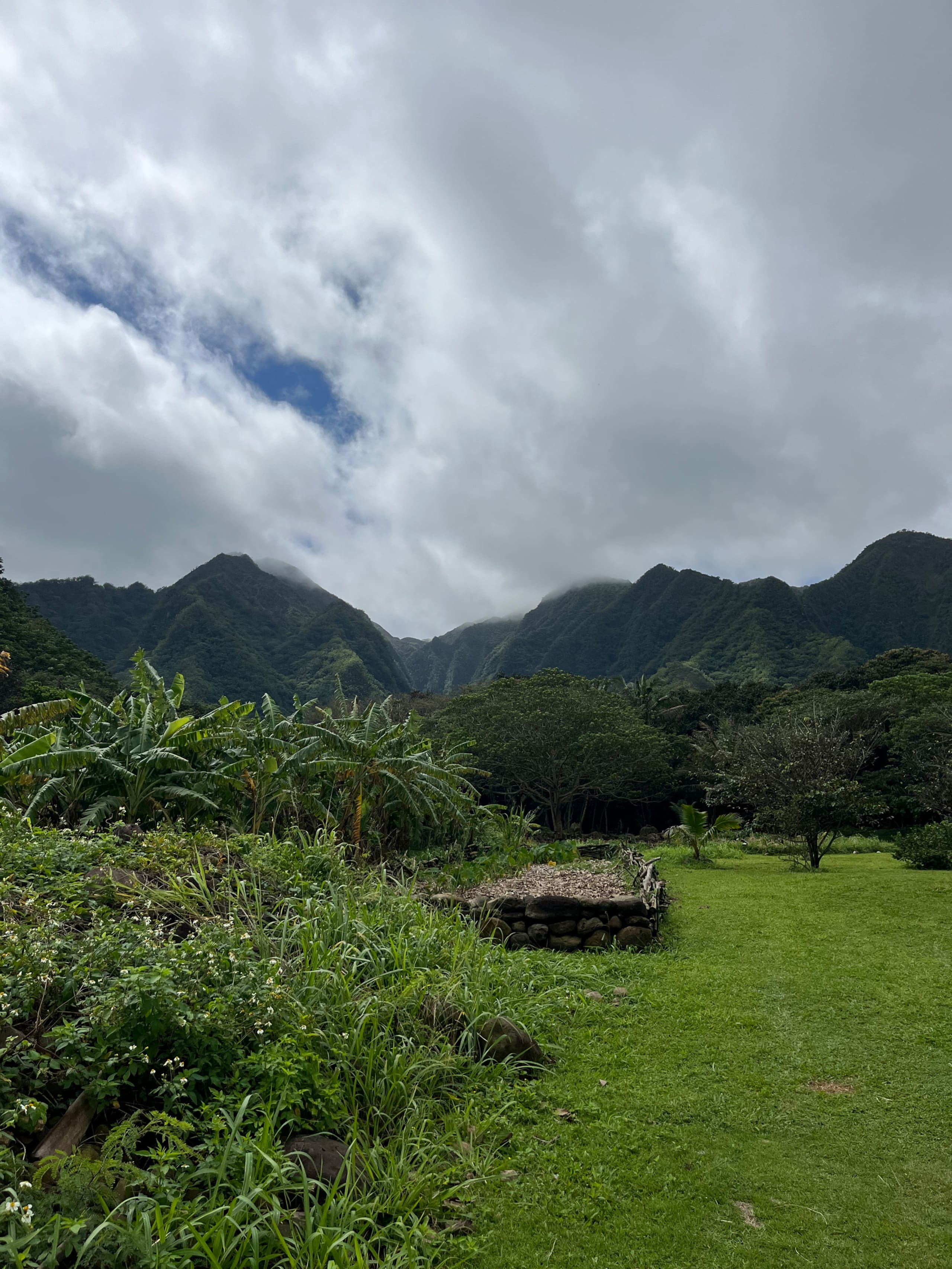 Hale Hā -Modern Rustic Cabin North Shore Oahu - Image 23