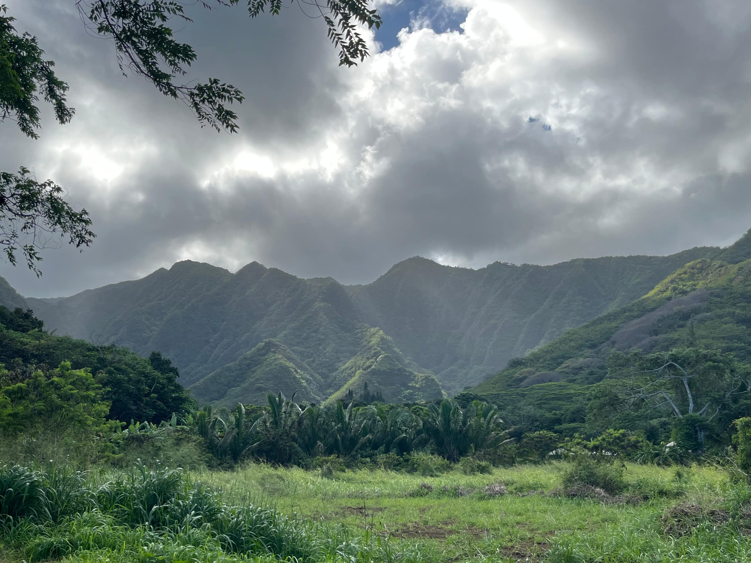 Hale Hā -Modern Rustic Cabin North Shore Oahu - Image 42