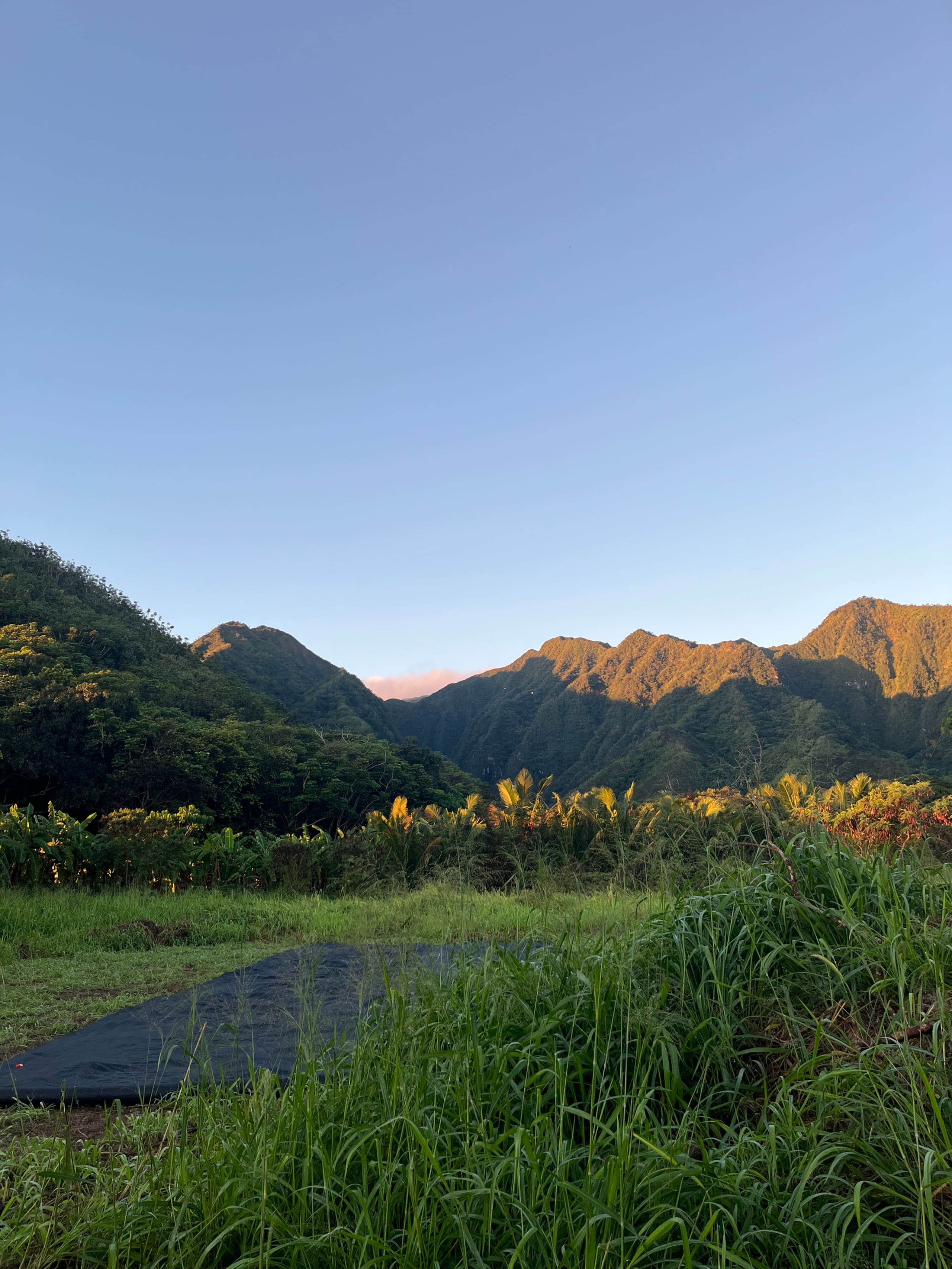 Hale Hā -Modern Rustic Cabin North Shore Oahu - Image 25