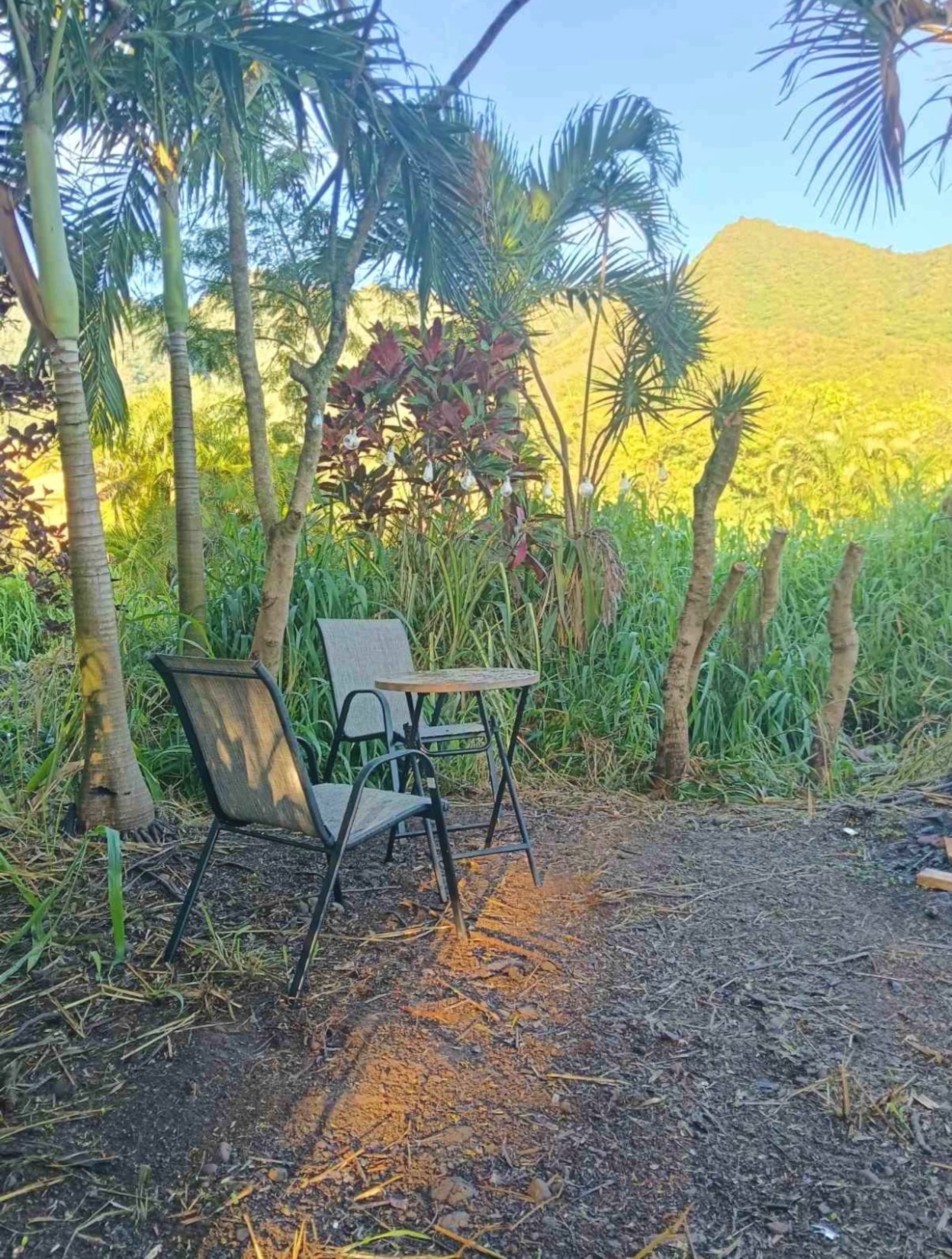 Hale Hā -Modern Rustic Cabin North Shore Oahu - Image 32