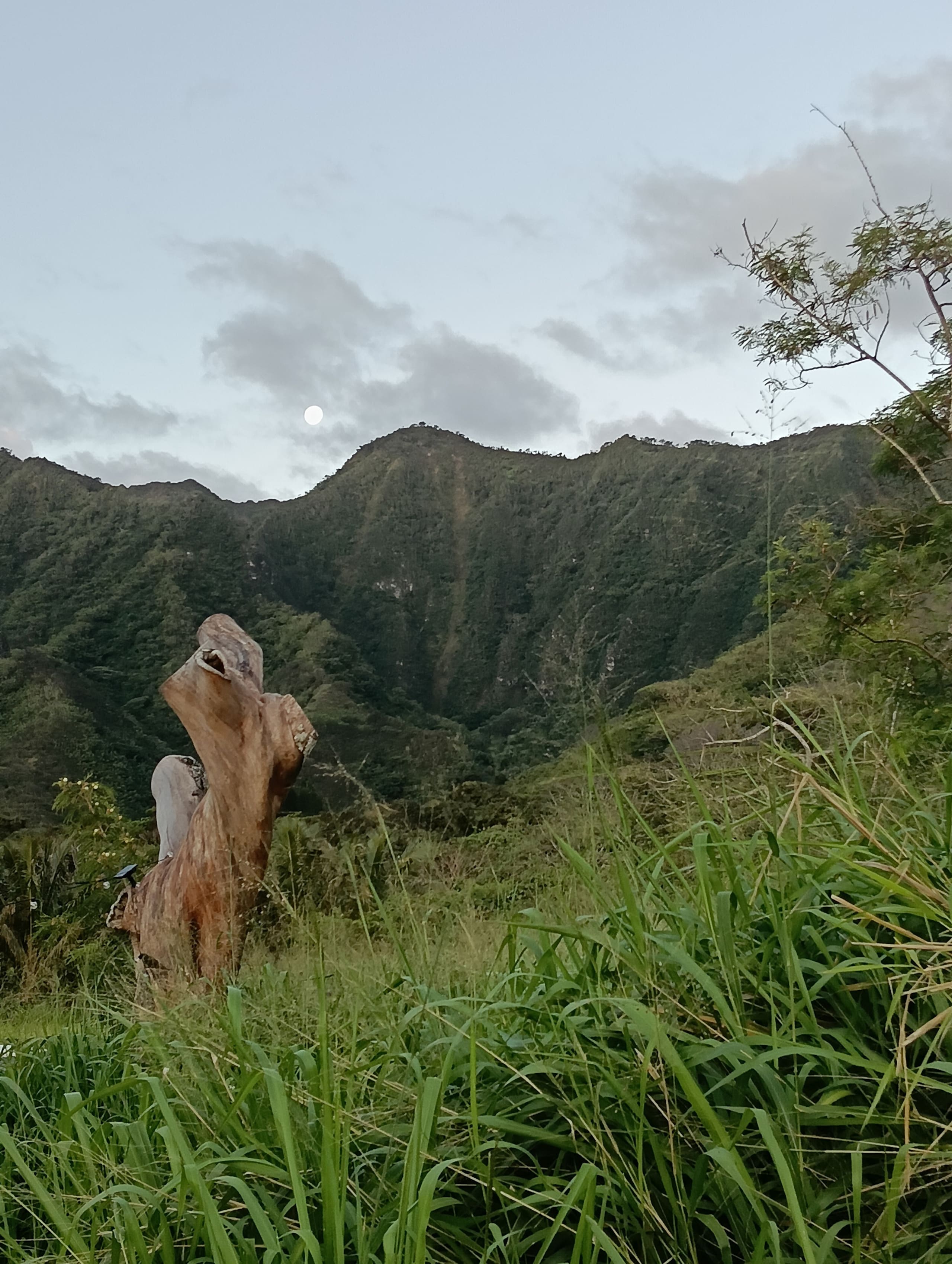Hale Hā -Modern Rustic Cabin North Shore Oahu - Image 29