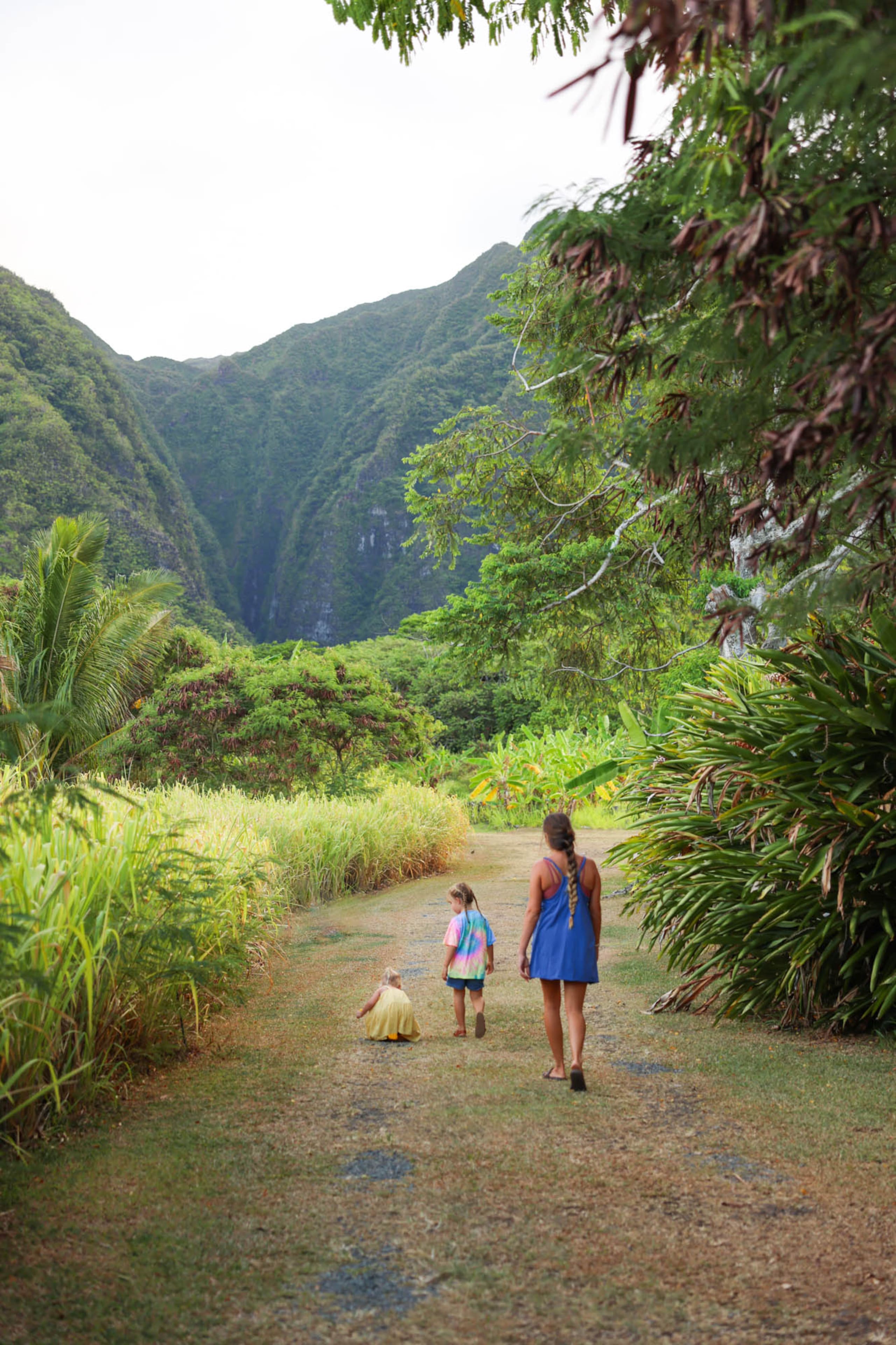 Hale Hā -Modern Rustic Cabin North Shore Oahu - Image 27