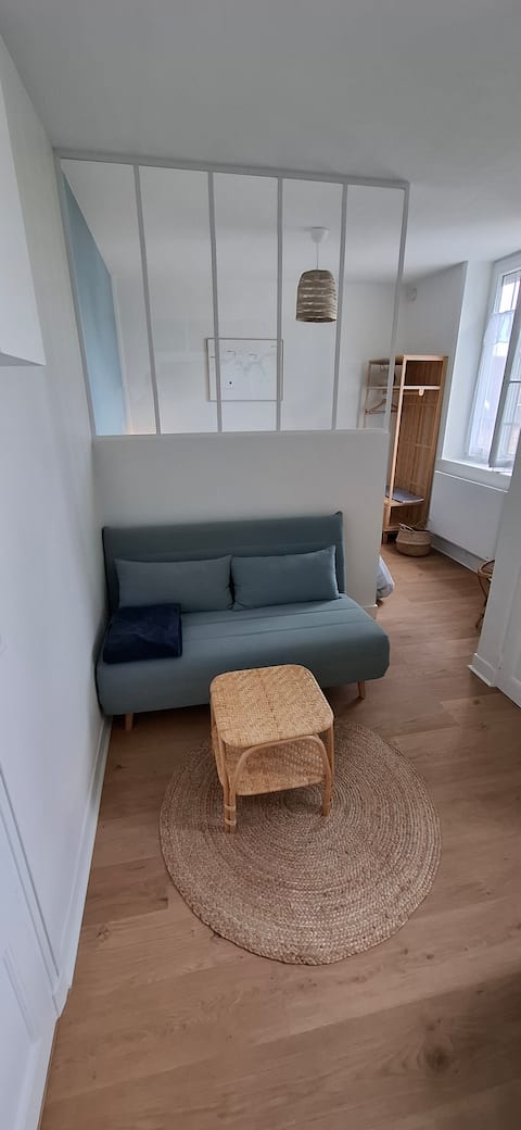 Successful Airbnb property: Saint-Lunaire Beach Apartment in Saint Lunaire
