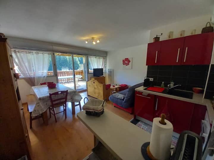 Appartement Rez-de-chaussée, Parking - 6 Pers. - Le Lioran (Super Lioran)