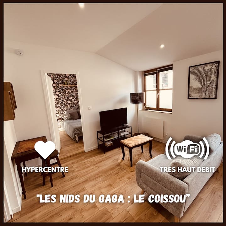 Les Nids Du Gaga - Le Coissou - Saint-Étienne