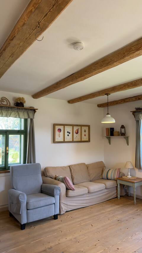 Top performing Airbnb: Century-old, newly renovated cottage in the Bohemian Paradise region in Královéhradecký