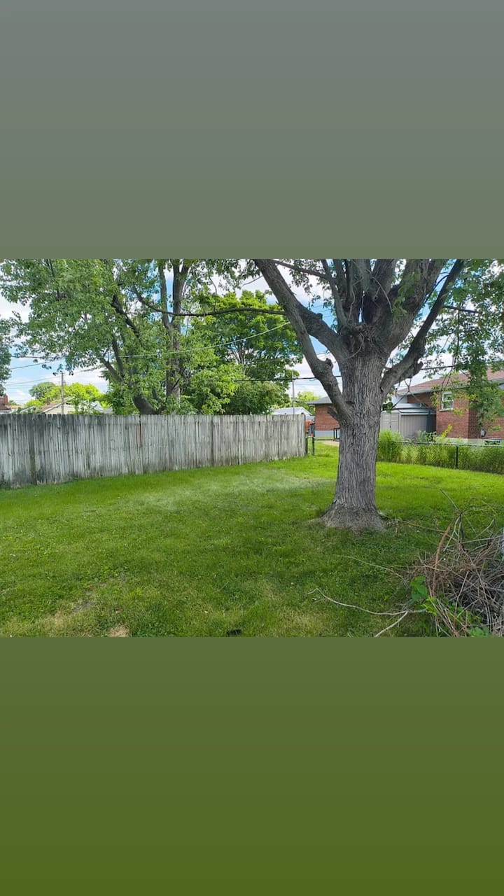Green backyard at a managed rental home