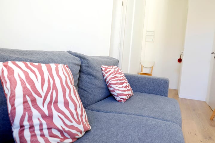 Bel Appartement 2 Pièces à 2 Pas De Garibaldi - Nice Côte d'Azur Airport (NCE)