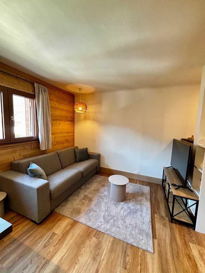 Studio Hyper Centre - Proche Lac Et Montagne - Faverges