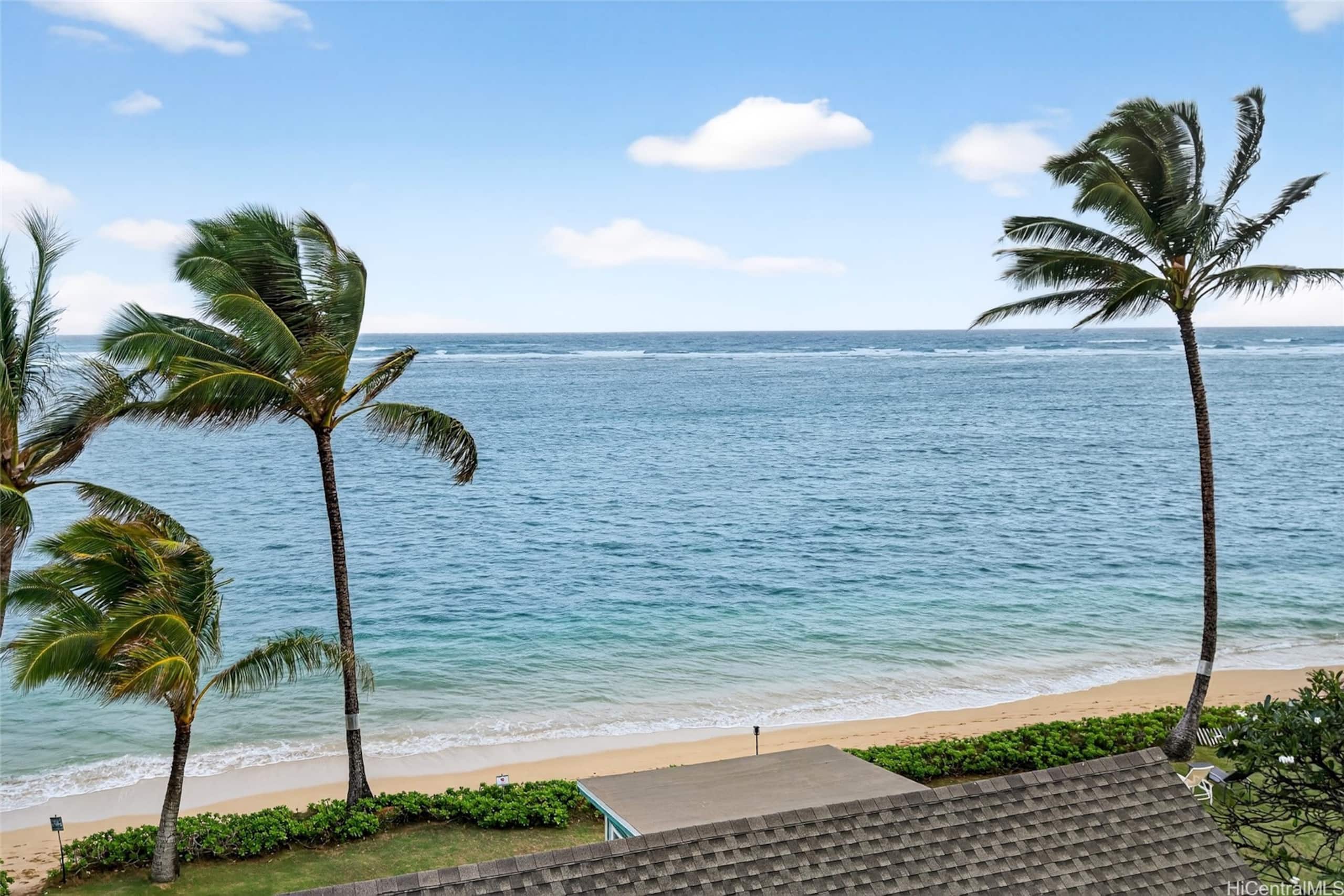 Ocean Sounds by Turtle Bay - Image 18