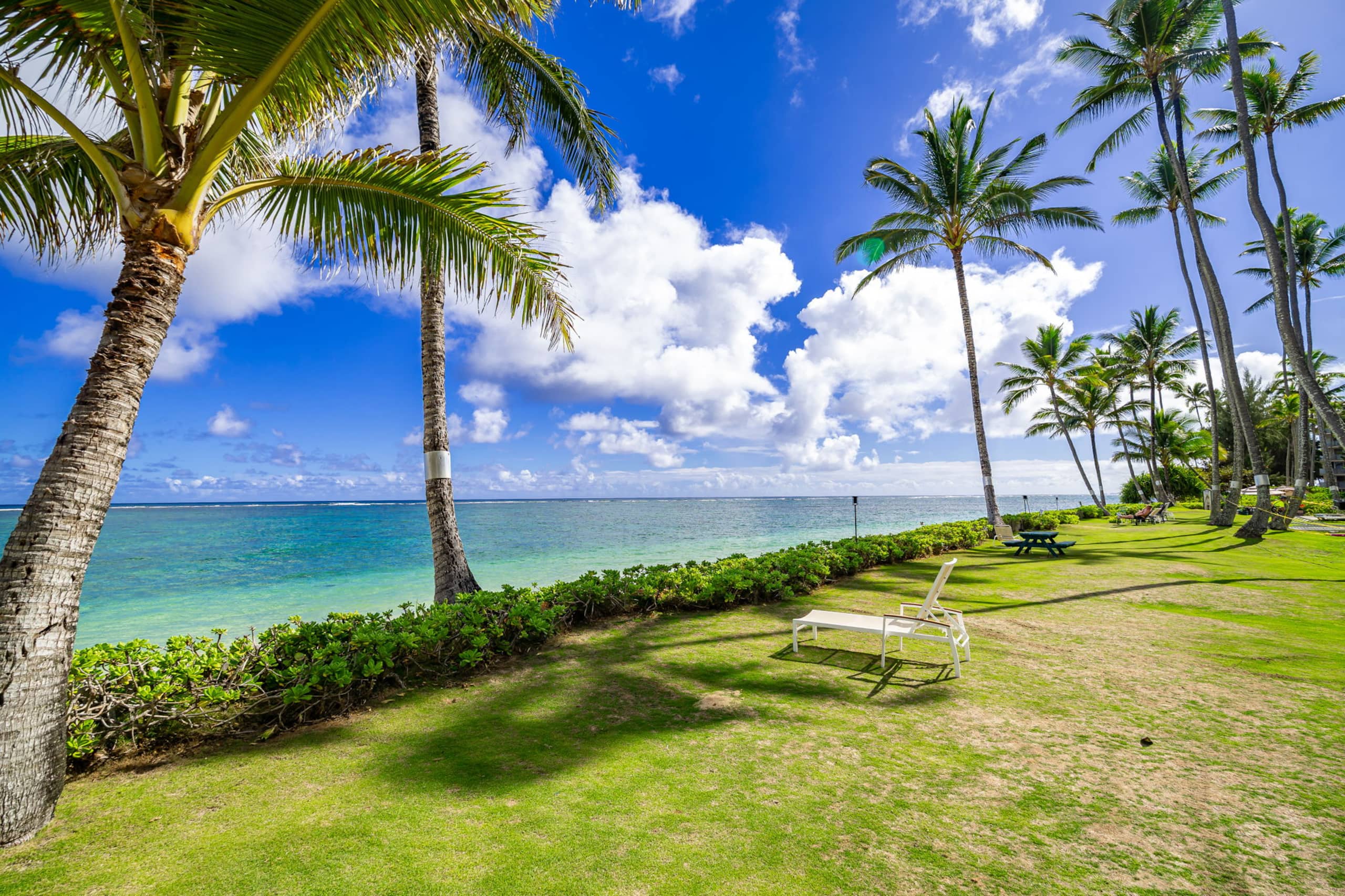 Ocean Sounds by Turtle Bay - Image 19