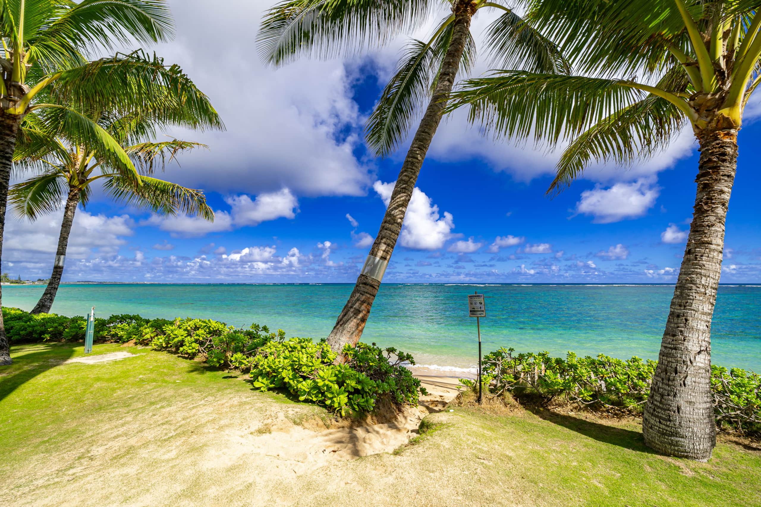 Ocean Sounds by Turtle Bay - Image 22