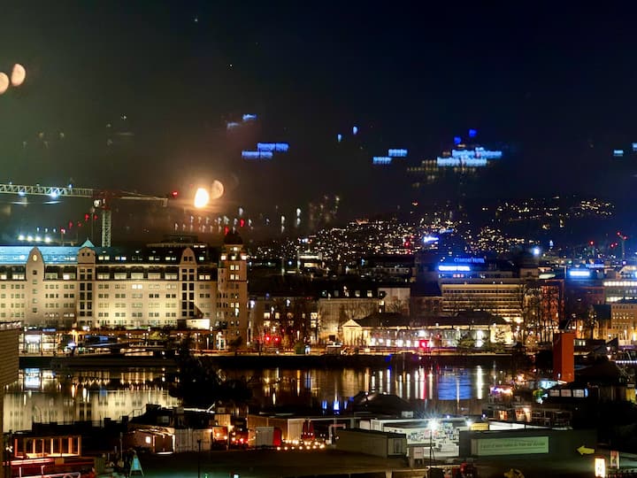 海景+城市景观奥斯陆中央火车站旁边的高品质公寓 车位+电梯 - Oslo