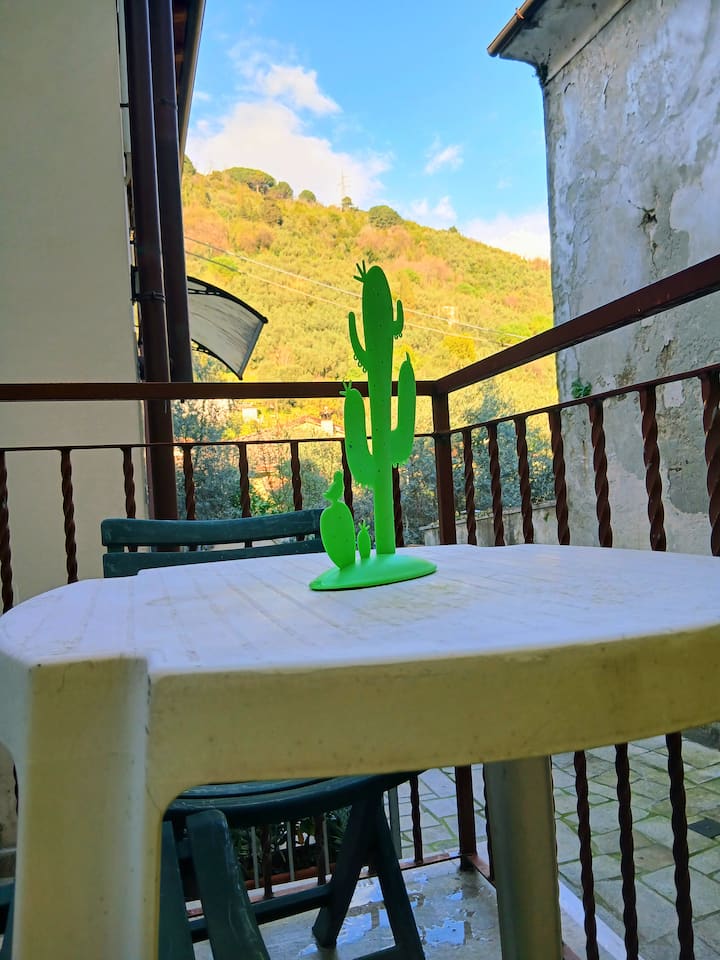 L'angolo Del Mirto - Massa