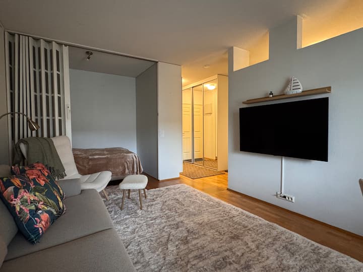 Viihtyisä Huoneisto+alkovi+sauna - Turku