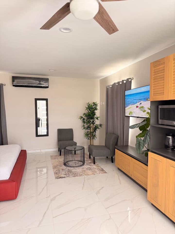 New Salina Palmera Studio 3 1br/1ba Sleep 2 - Aruba