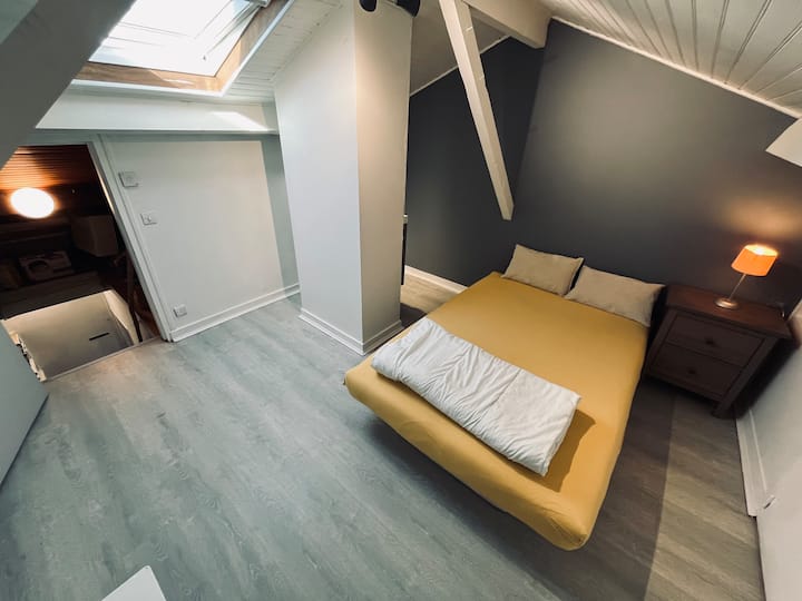 Chambre De Grenier Avec Jardin - Coulon