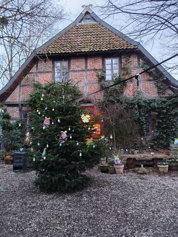 Wunderschönes Bauernhaus  Fachwerkhof - Giesen
