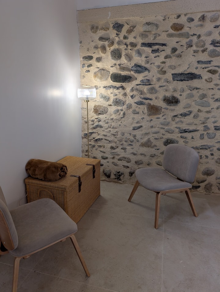 Grande Grange 12 Pers Bain Nordique & Vue Pyrénées - Lourdes