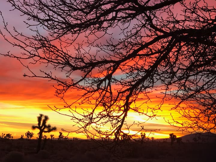 Mojave Desert Glamping - Lancaster, CA
