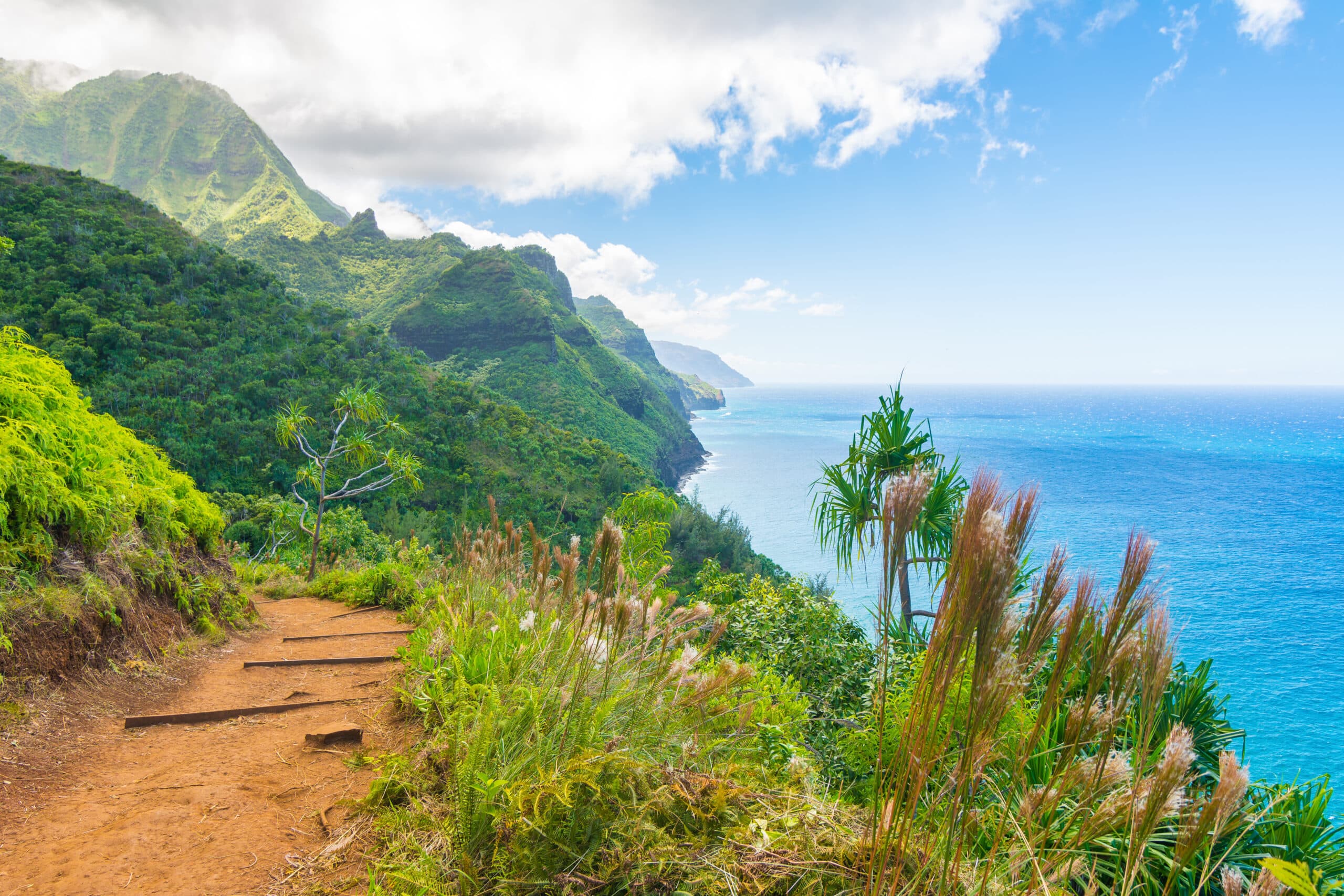 Condo in Princeville · ★4.75 · Studio · 1 bed · 1 bath - Image 25
