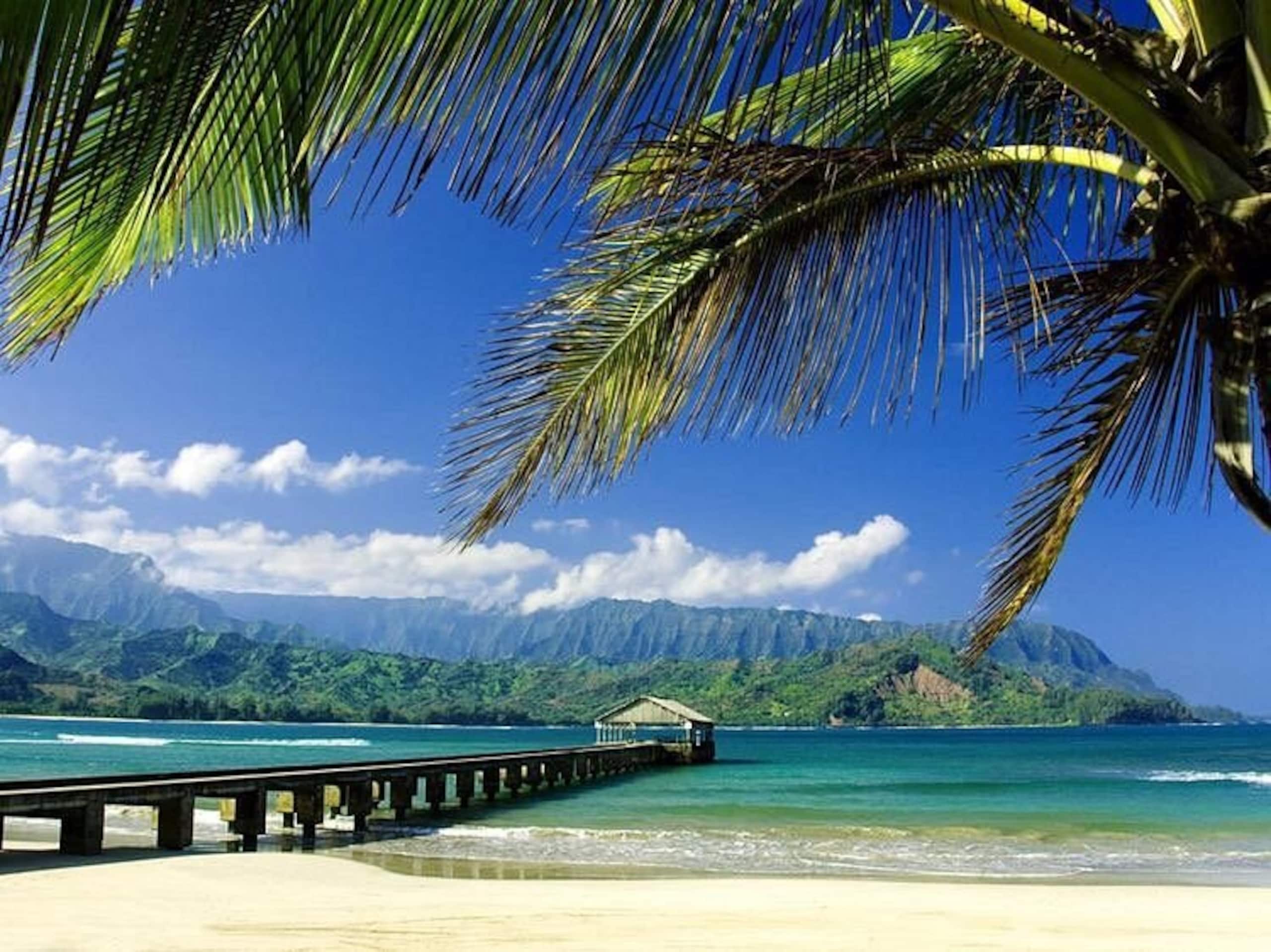 Condo in Princeville · ★4.75 · Studio · 1 bed · 1 bath - Image 20