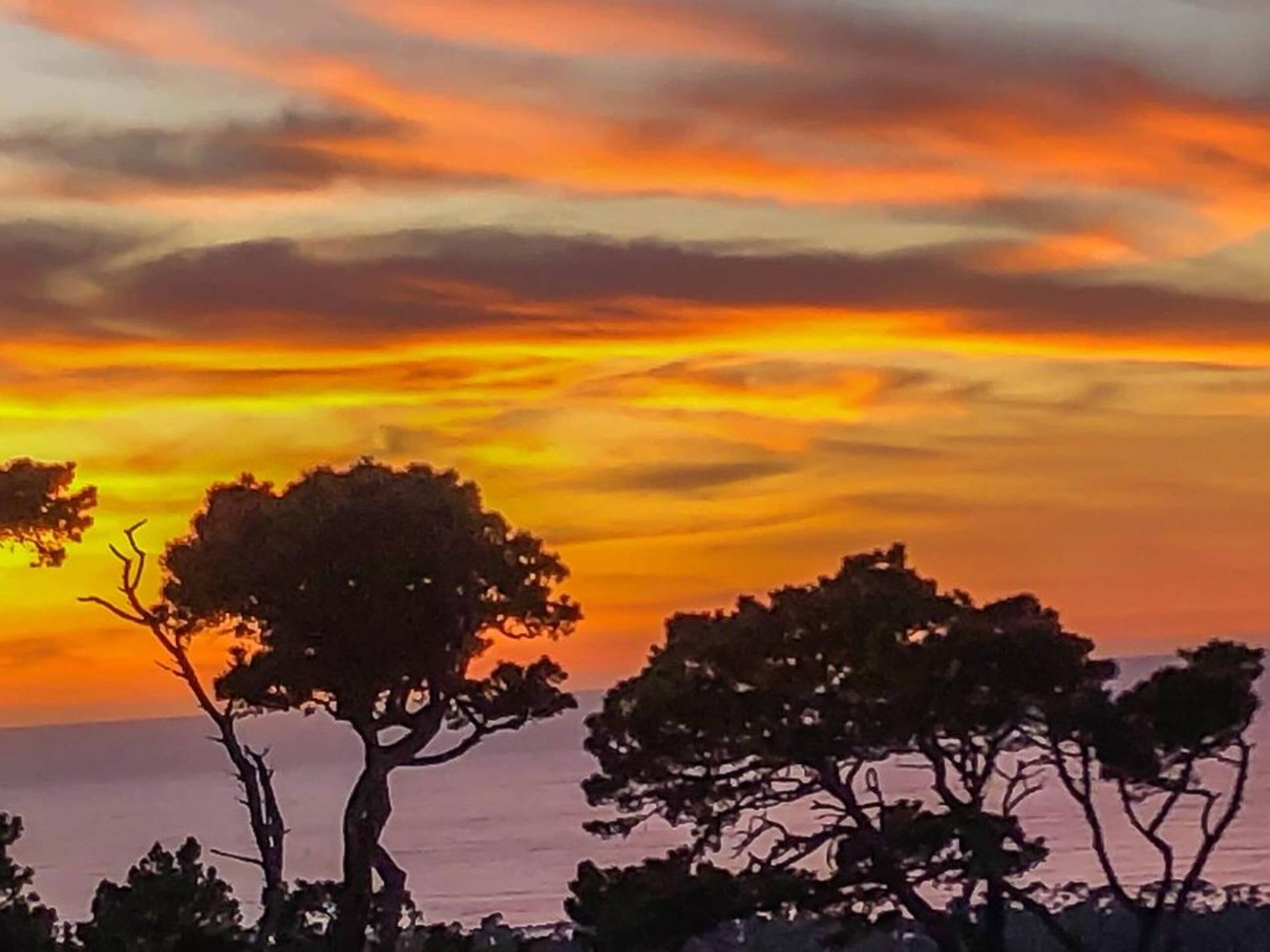 Coastal Elegance on 17-Mile Drive, Pebble Beach - Photo 27