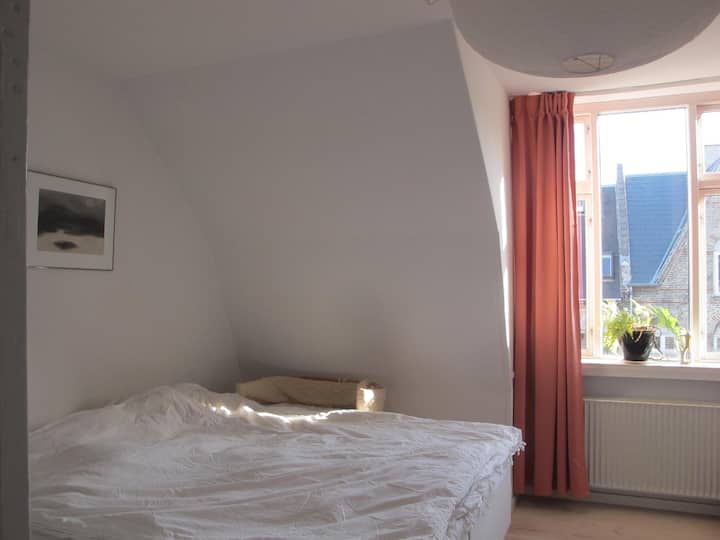 Quarto 1