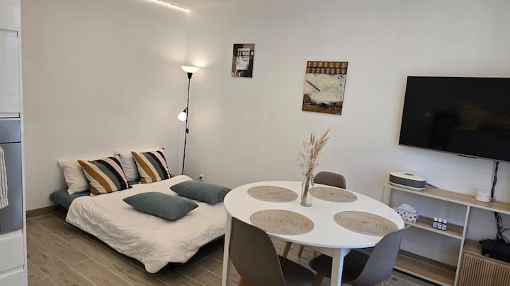 Appart • Climatisation • Parking • Fibre • 4 Pers - Mulhouse