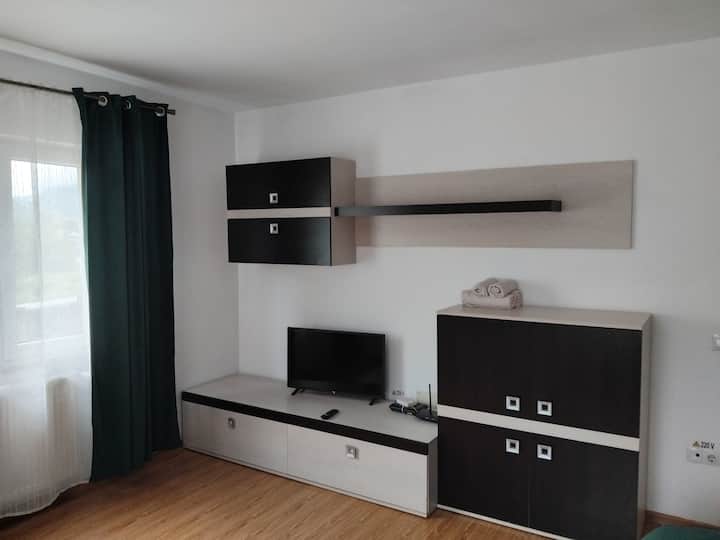 Casa Ile - Vișeu de Sus