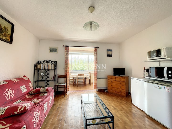 4107 Appartement T2 à 300m De La Plage 4 Couchages - Argelès-sur-Mer