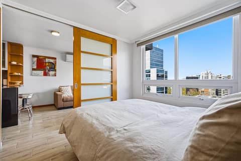 Renovated Apartment with A/C, Providencia, Metro
