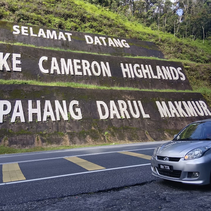 potting mix for orchid Organic Orchid Potting Mix for All Orchid Types