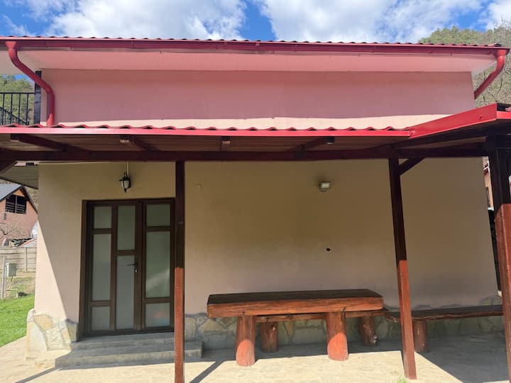 Vila Liana - Slănic Moldova